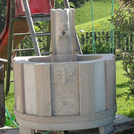 Ferienwohnung Haus Lehen Sankt Koloman Zewnętrze zdjęcie