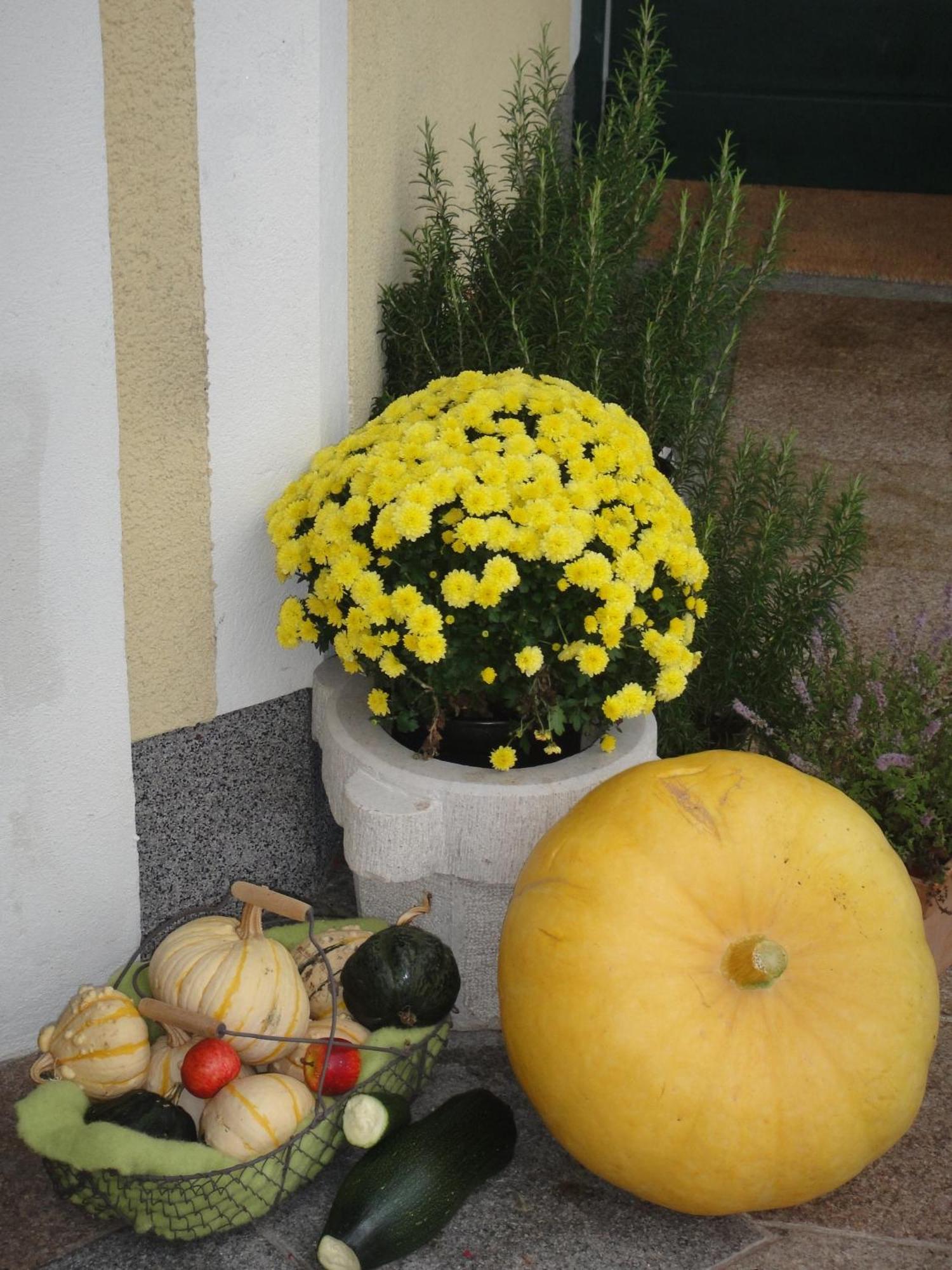 Ferienwohnung Haus Lehen Sankt Koloman Zewnętrze zdjęcie