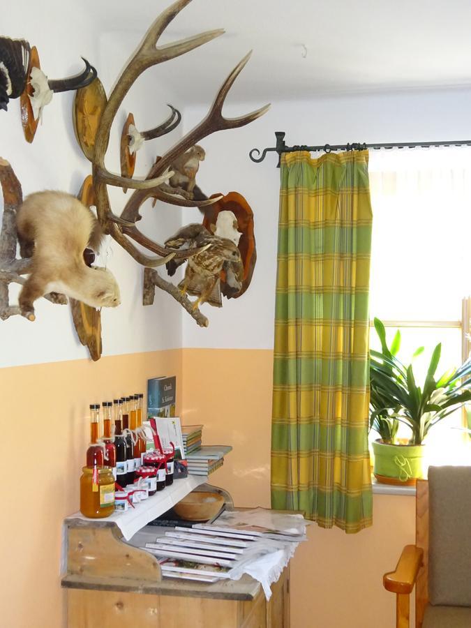 Ferienwohnung Haus Lehen Sankt Koloman Zewnętrze zdjęcie
